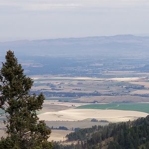 Meet your Posher, Ruth